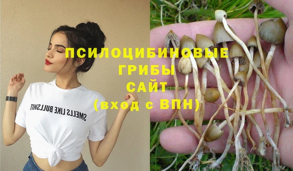 прущая мука Абаза