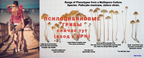 прущая мука Абаза